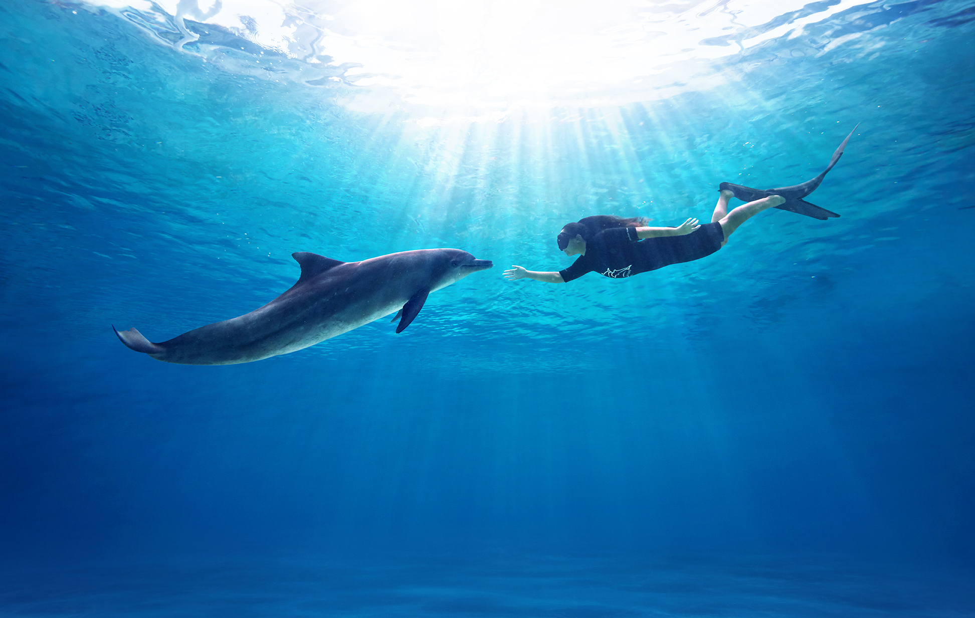 **ドルフィンアドベンチャー**